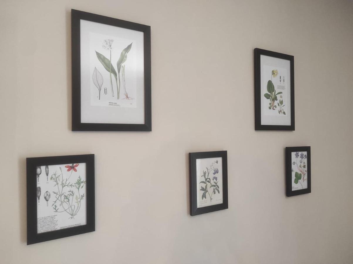 Gite Le Vieux Perrin Villa Andelaroche Dış mekan fotoğraf